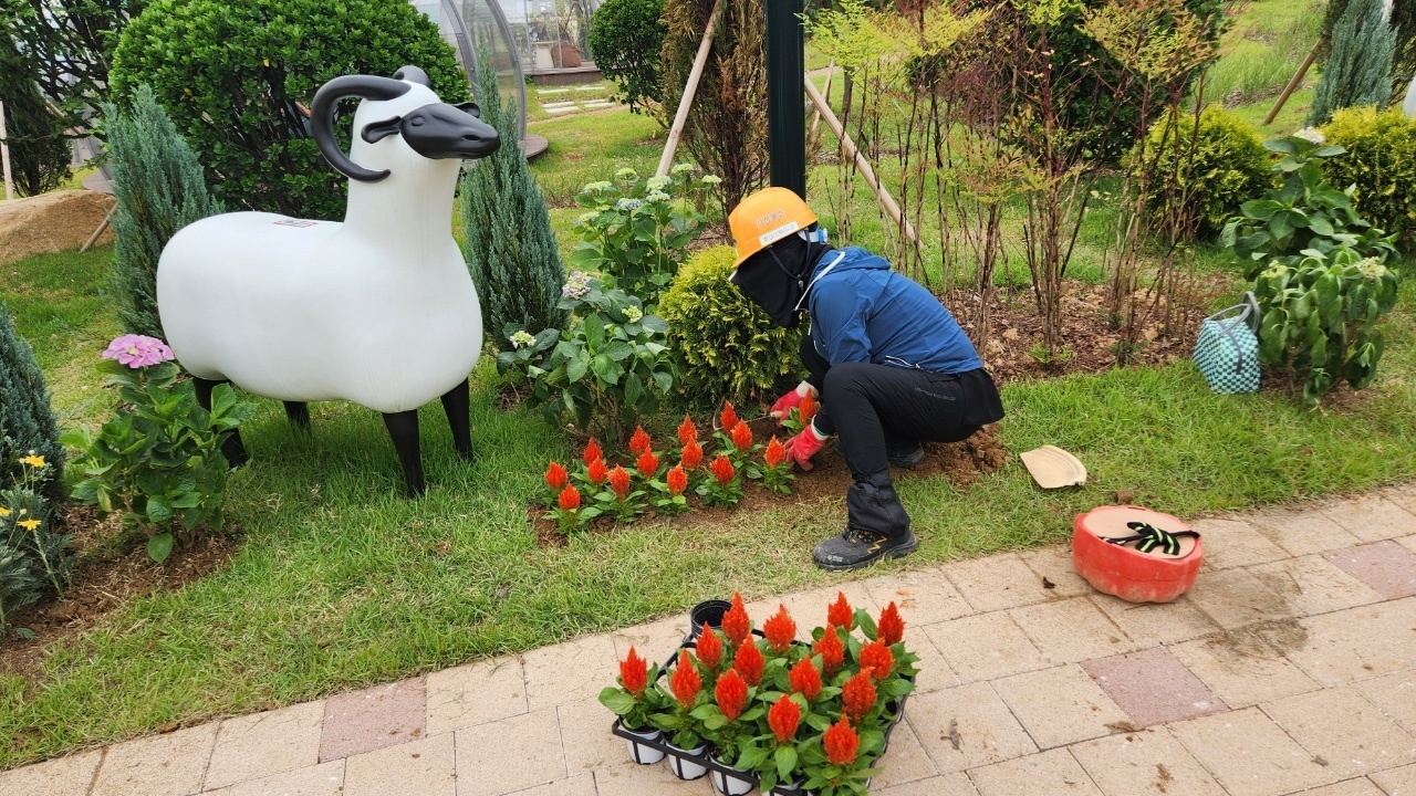 3743819744_1sWqJK6P_11a1b1773e34b05f1b1b43b047d6834a127561f8.jpg 이미지크게보기