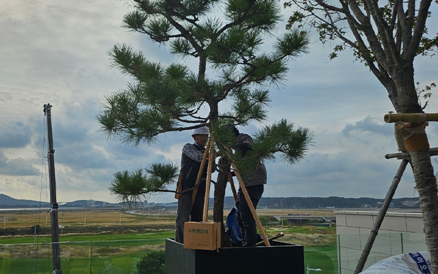20240205164429_QHh0NOFf.jpg_carousel_강동구인력_강동구인력,미래조경건설인력,조경공사,정원관리,예초작업,조경공사전문업체,조경인테리어,주택조경,전원주택조경